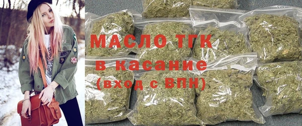 хмурый Арсеньев