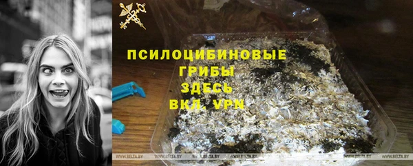 хмурый Арсеньев