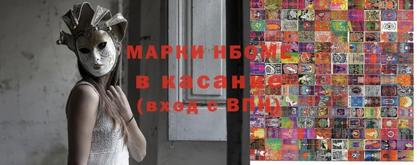 хмурый Арсеньев