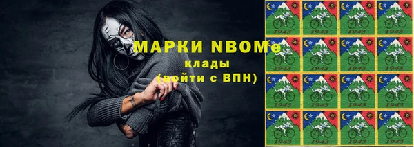 хмурый Арсеньев