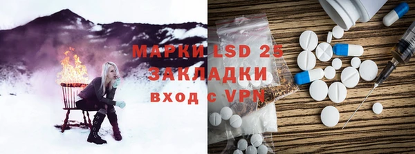 хмурый Арсеньев